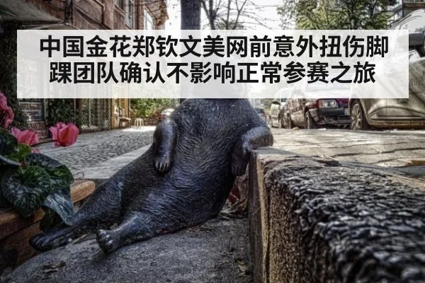 中国金花郑钦文美网前意外扭伤脚踝团队确认不影响正常参赛之旅